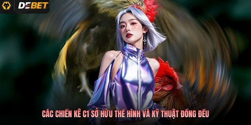 Các chiến kê C1 sở hữu thể hình và kỹ thuật đồng đều
