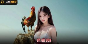 Đá Gà Đòn Là Gì? Luật Chơi Và Cách Theo Dõi Chuẩn Tại Debet