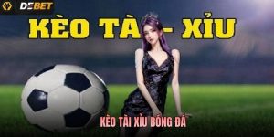 Kèo Tài Xỉu Bóng Đá - Cách Đọc Tỷ Lệ Và Bí Kíp Cược Hiệu Quả